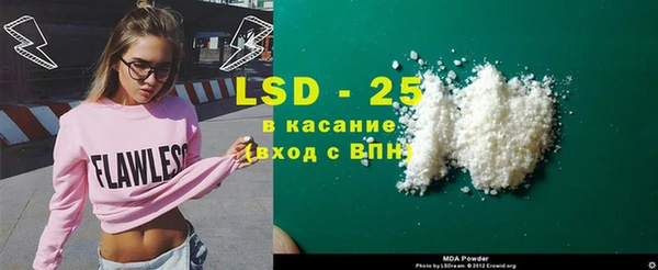 крисы Алзамай