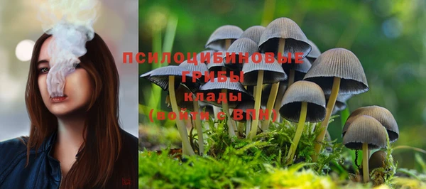 мескалин Алексин